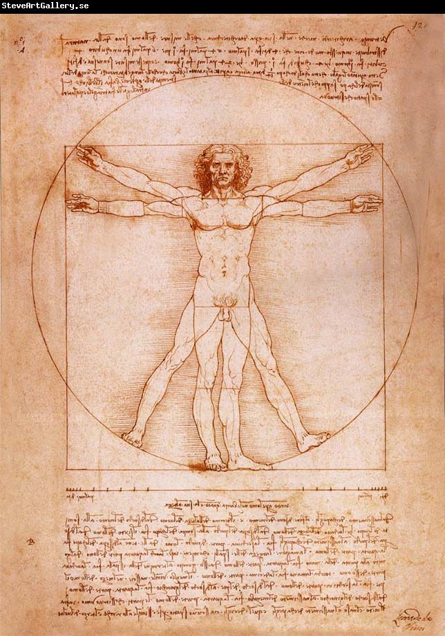 LEONARDO da Vinci Rule fur the proportion of the human figure